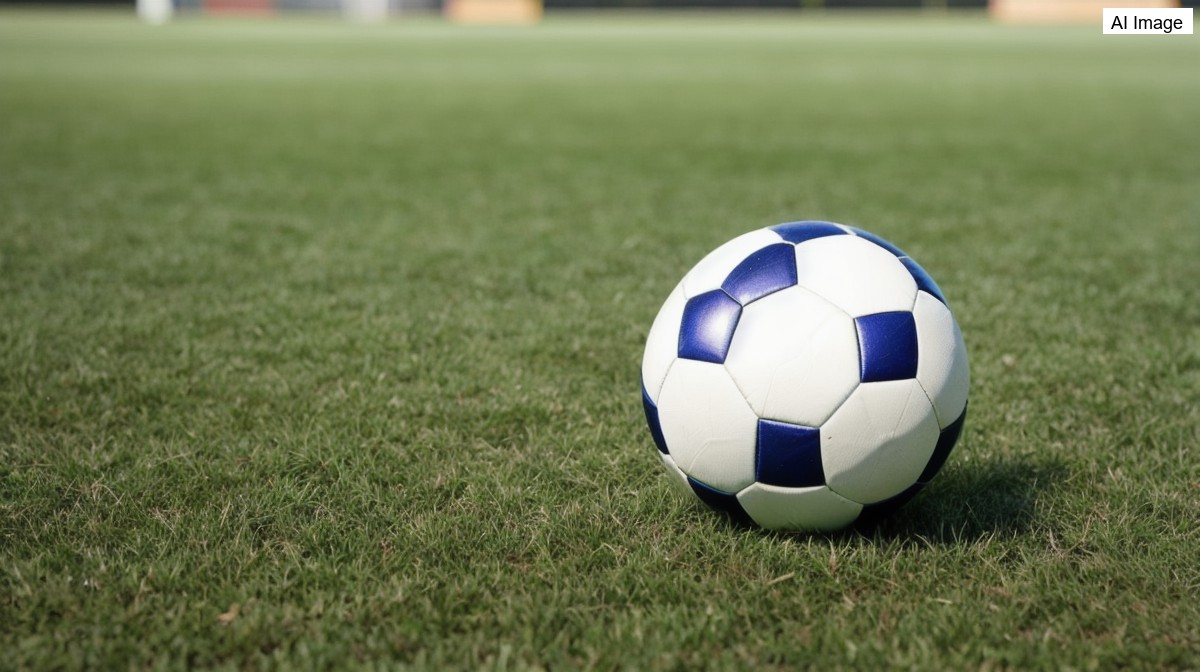 Seleção brasileira faz treino aberto antes do amistoso com o Egito