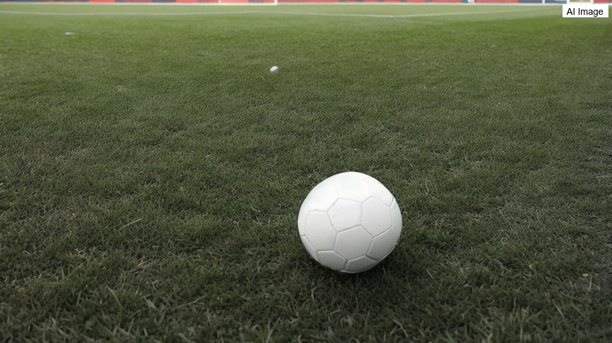 Quebec's soccer rise takes the spotlight as locals join Canada's World Cup squad, CBC reports