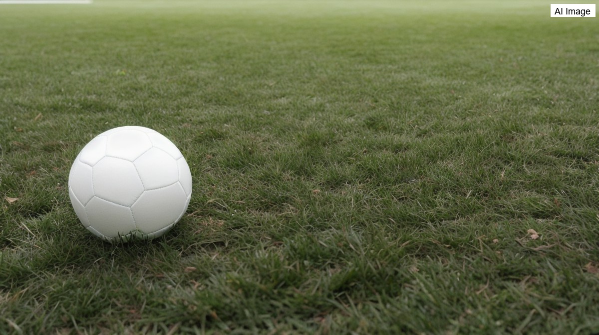문체부와 대한체육회, 대한축구협회장 직선제 도입 논의 착수