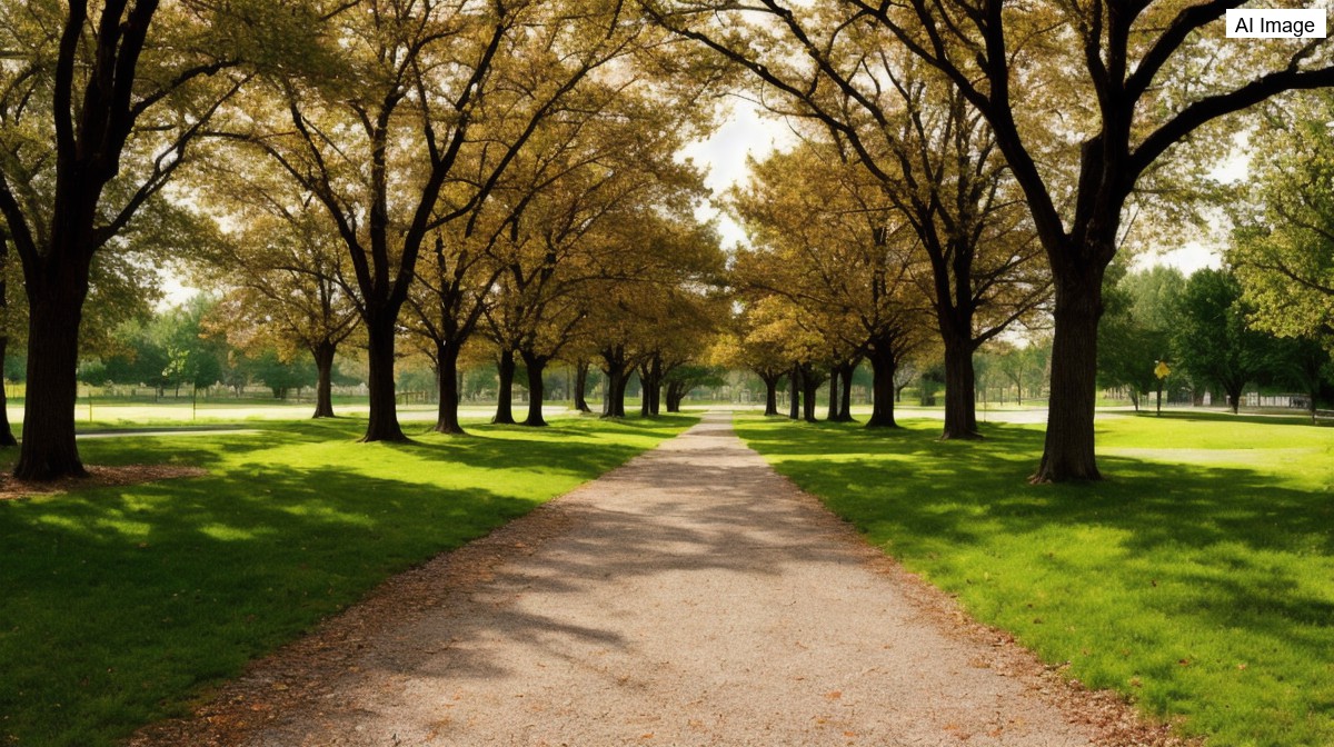 Police seek suspect in attempted rape of woman at Kaiser Park in Coney Island - AVALW News